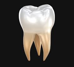 tooth-pic-what-does-endodontist-do-services-top-nyc-specialist-02