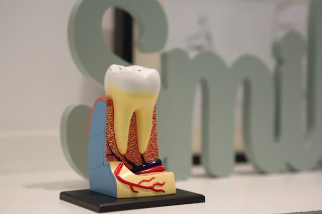 Preventing Tooth Decay and Root Canal Treatments